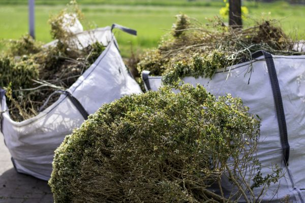 Cost of Shrubs Removal in Killeen