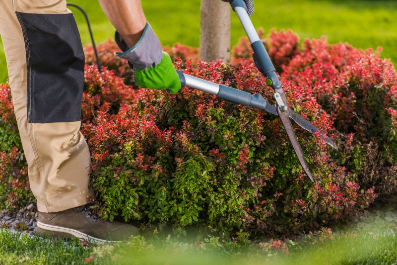 Neatly Trimmed Shrubs