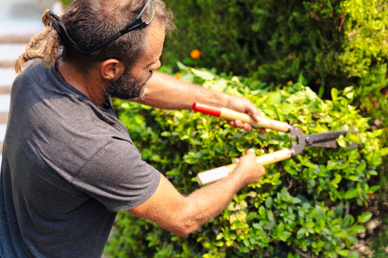 Shrubs with Clean Cuts