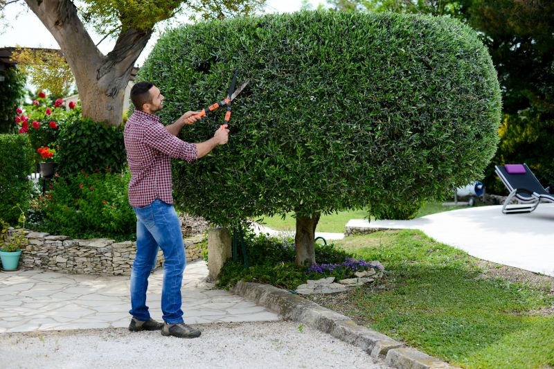 Trimming Bushes Near Walkways