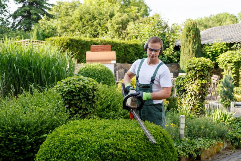 Seasonal Shrub Maintenance