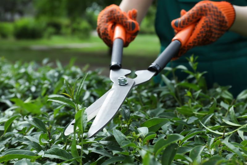 Tools for shrub trimming